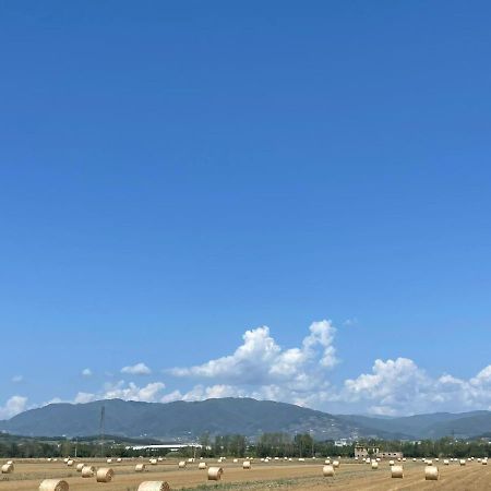 Lucca Holiday Rental- By The Walls N 395 מראה חיצוני תמונה